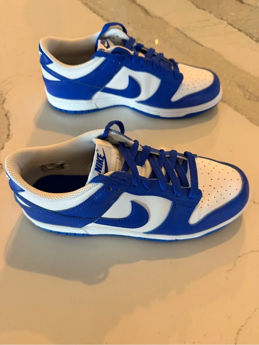 Nike Dunk Royal Blue and White Low-Top Sneakers
